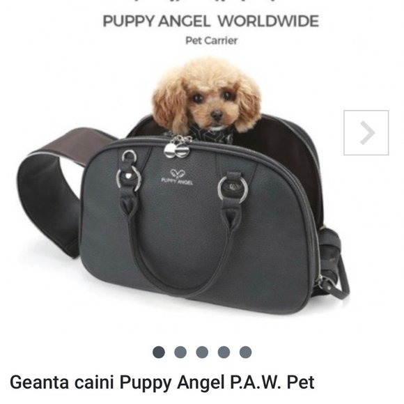 Puppy Angel Dog Puppy Angel Leather Carrier Poshmark